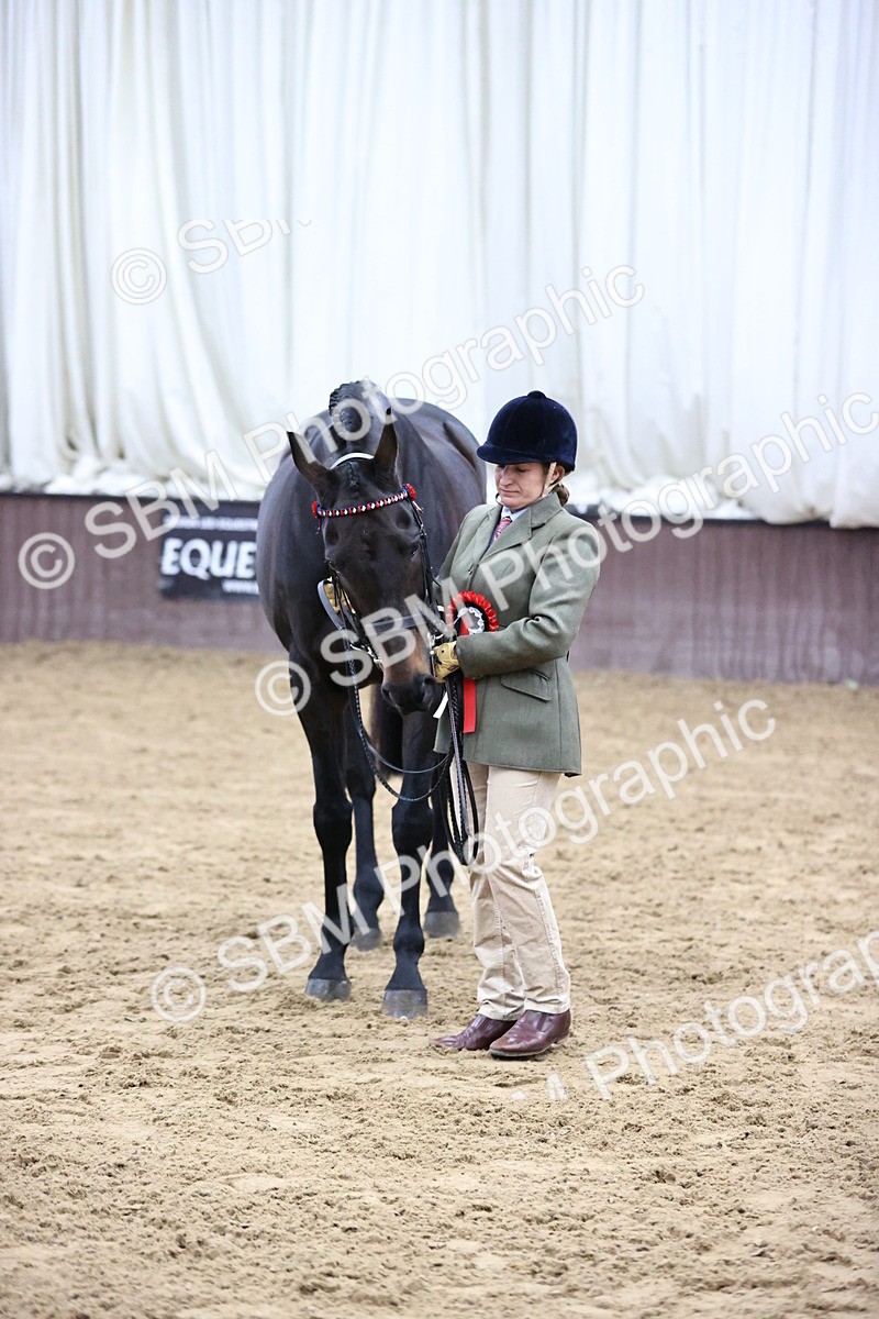 SBM_5783 - Class 3 - BSHA In Hand Show Hunter