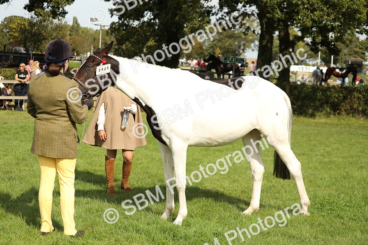 SBM_68627 - S40 - Junior Handler 9-12 Years