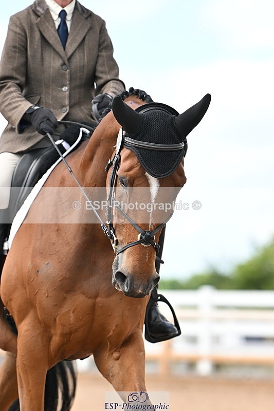 240622A-151548-12098 - Cls 6B+C Novice 30 RoR