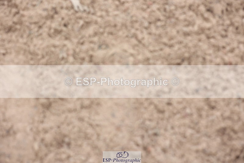 241101A-150801-02825 - FRI Cls 7 Grade B&C Champ Qualifier