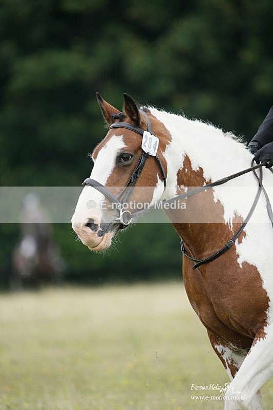 BVRC 030721 75 - Bourne Valley Riding Club Dressage 03/07/21