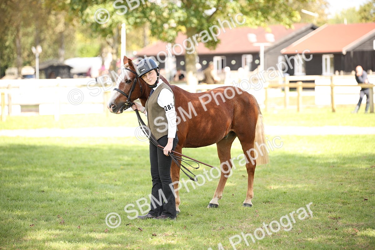 SBM_44450 - S24 - Young Veteran in hand