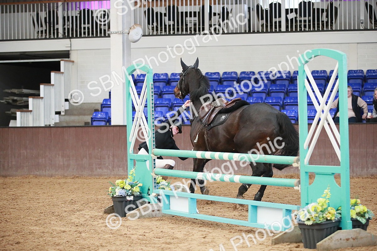 SBM_000350 - Class 2  - Senior British Novice - 90cm Open