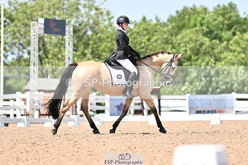 250620-145935-03833 - BD Cls 7 - Elementary 5, 14.40 to End