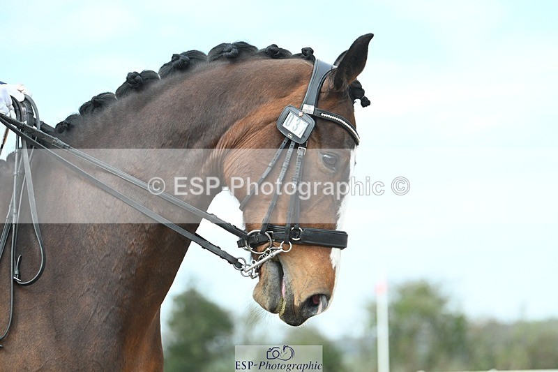 250403-095201-01043 - 037-Fay.Lai-Greenlanes.Lullaby