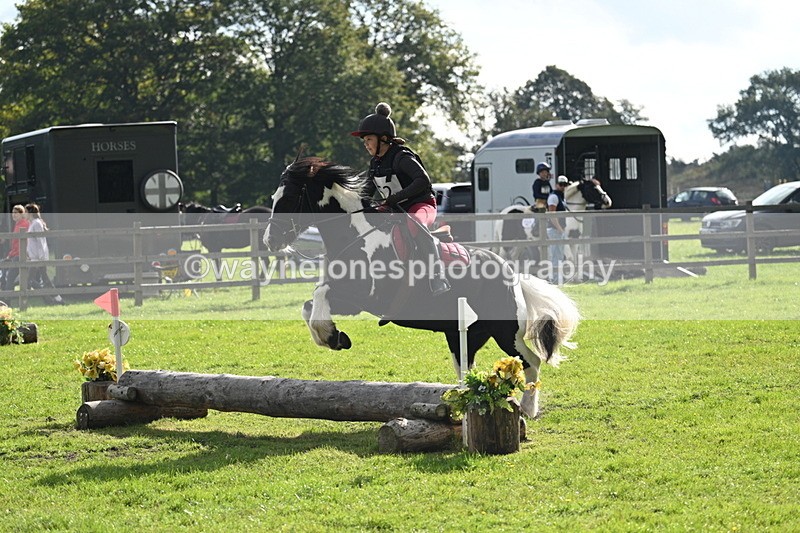 WJ7_3721 - 40cm Time 10:26 to 10:42