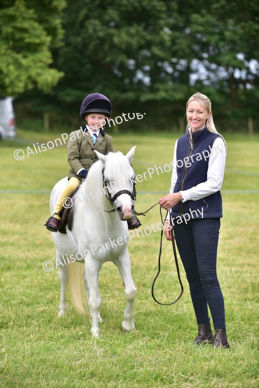 20260614-3696 - Class 15 - Prettiest Mare