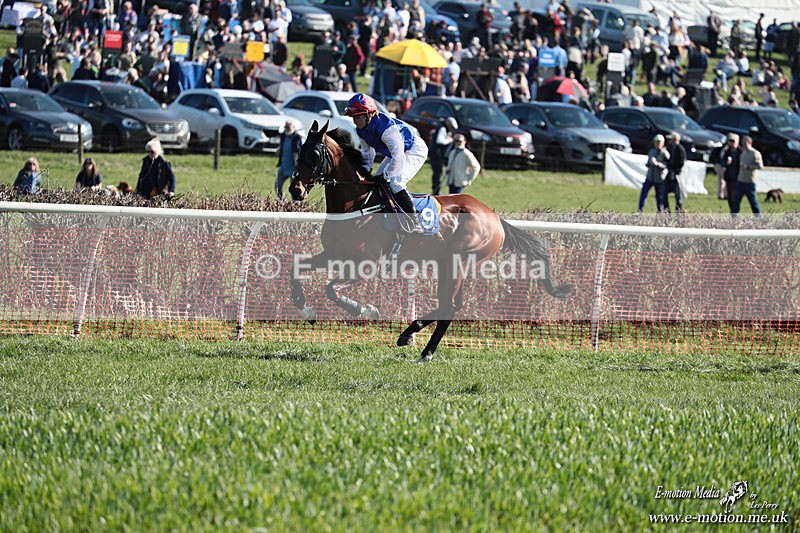 PtP 210326 266 - VWH Cirencester Races 21/03/26