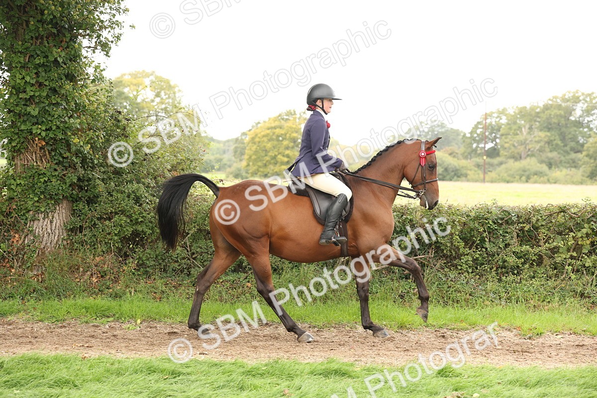 SBM_64213 - S65 - Riding Horse & Hack & Thoroughbred Ridden