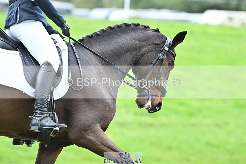 231020-152118-11445 - 685-ADRENALIN.II-Cosima.Atkinson-DR