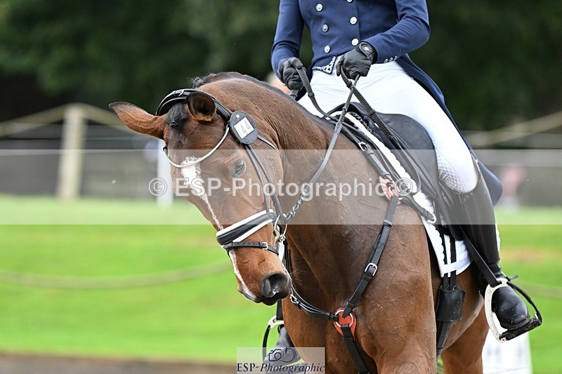 231019-122224-02743 - 044-COOLEY.ON.THE.CARDS-Charlotte.Cooke-DR