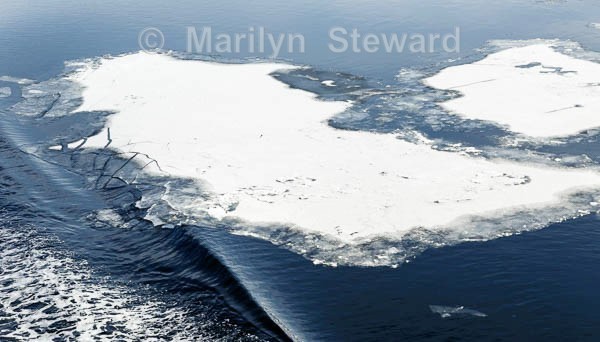 Ice break, Kirkenes - Norway Coast