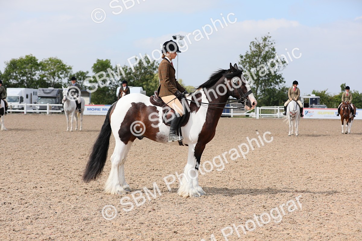 SBM_13431 - Class 308 Ridden Coloured Horse
