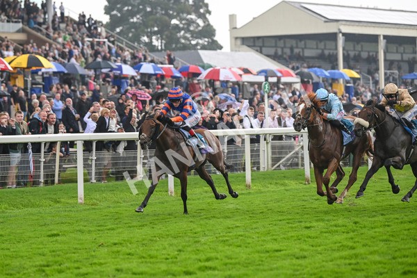 080924-Race 4-Zain Blue-9234 - Race 4 3.25pm PJ Staffing Group Handicap