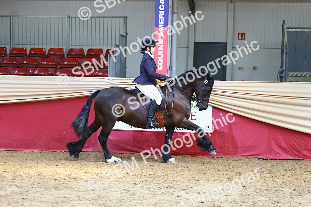 SBM_23922 - Class 905 - Supreme Final - Ridden Veteran