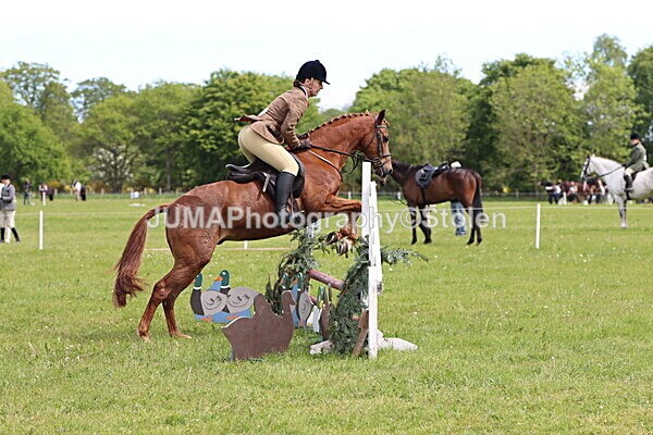 IMG_2970 - Working Hunter