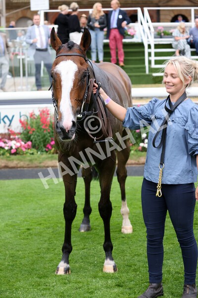 yr22072022r6-39 - Race 6 7.50pm Gallop Racing Stakes