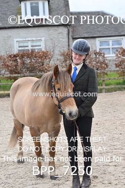 BPP_7250 - RING 1  (RIDDEN HORSES / IN HAND / VETERAN ETC)