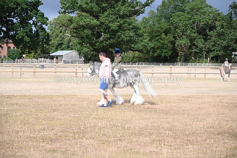 WJ6_7456 - Class 9 Tack and Turnout