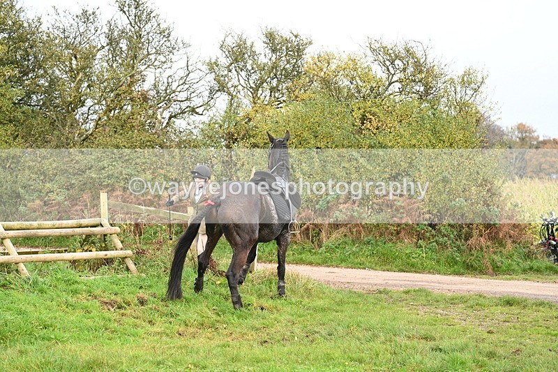 WJ7_0440 - Camera 1 & Last fence
