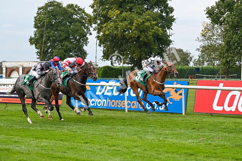 060925-Race 1-Dunkeld Dreamer-4175 - Race 1