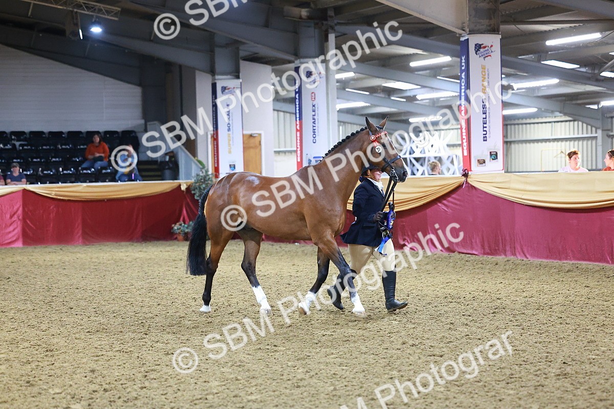 SBM_15019 - Class H - IH  Competition Riding Club Champ
