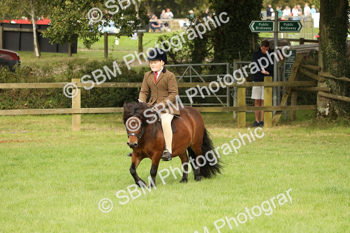 SBM_71522 - S41 - Ridden Equitation (Best Rider)