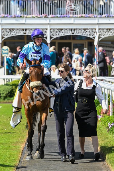 140525-Race 2-Rousing Encore-1910 - Race 2 2.42pm Churchill Tyres Handicap
