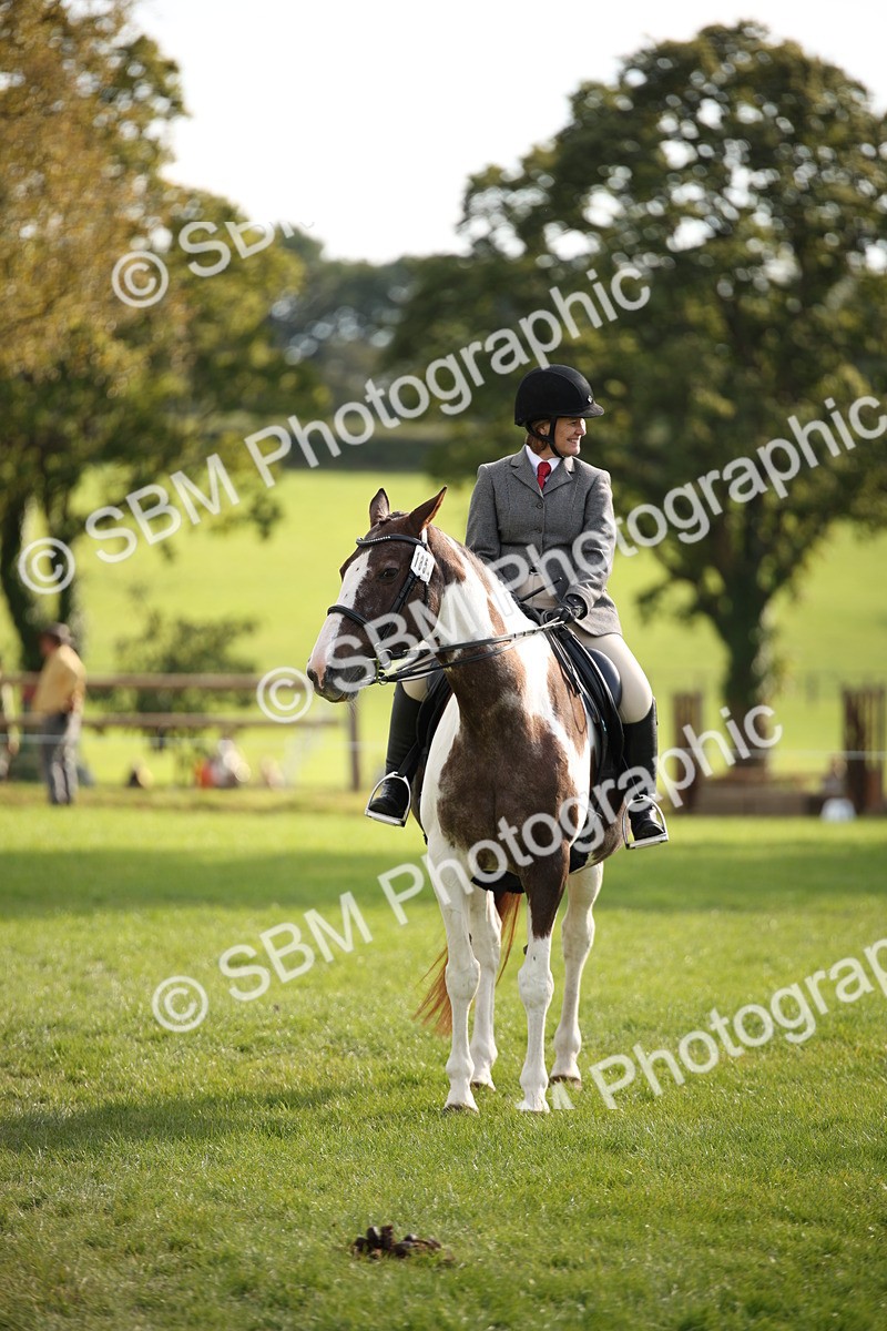 SBM_50188 - S26 - Young Veteran - Ridden