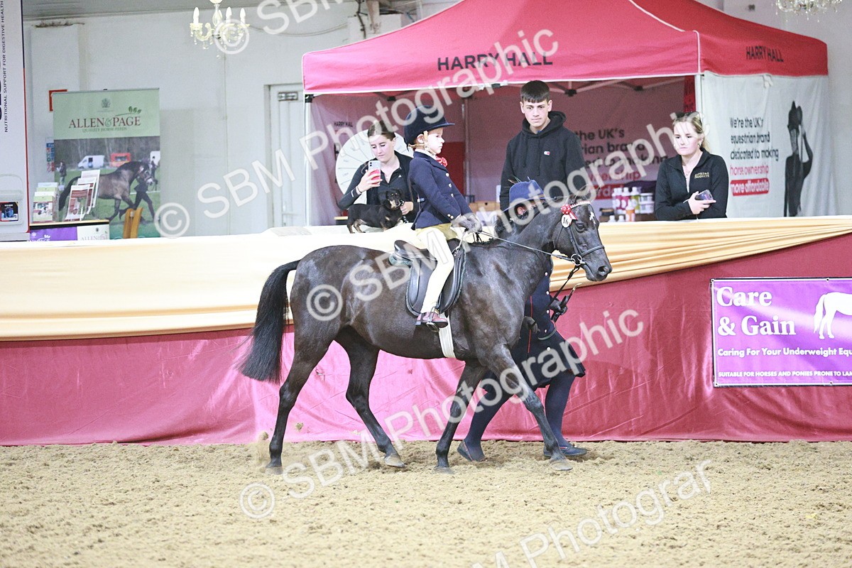SBM_03347 - Class 6A Area Ridden Pre-Vet