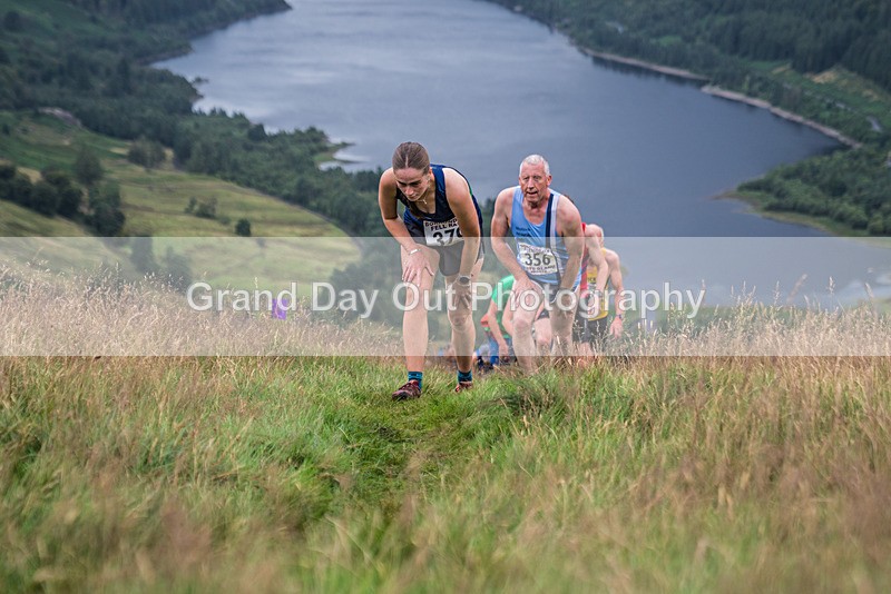 Steel Fell-262 - Steel Fell Race Wednesday 7th August 2024