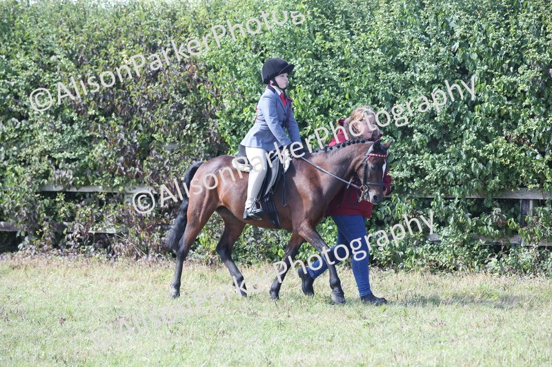 20250831-2617 - Class 17 - Lead Rein Pony