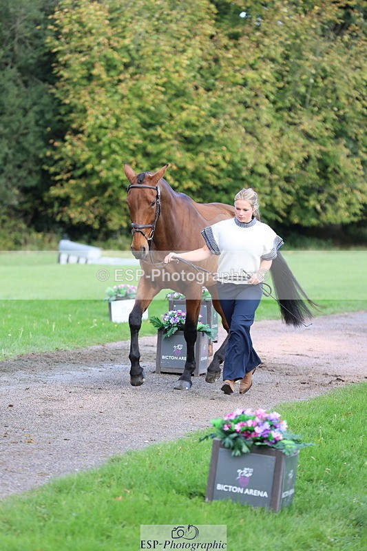 251026A-102652-22993 - E-386-Zara.Head