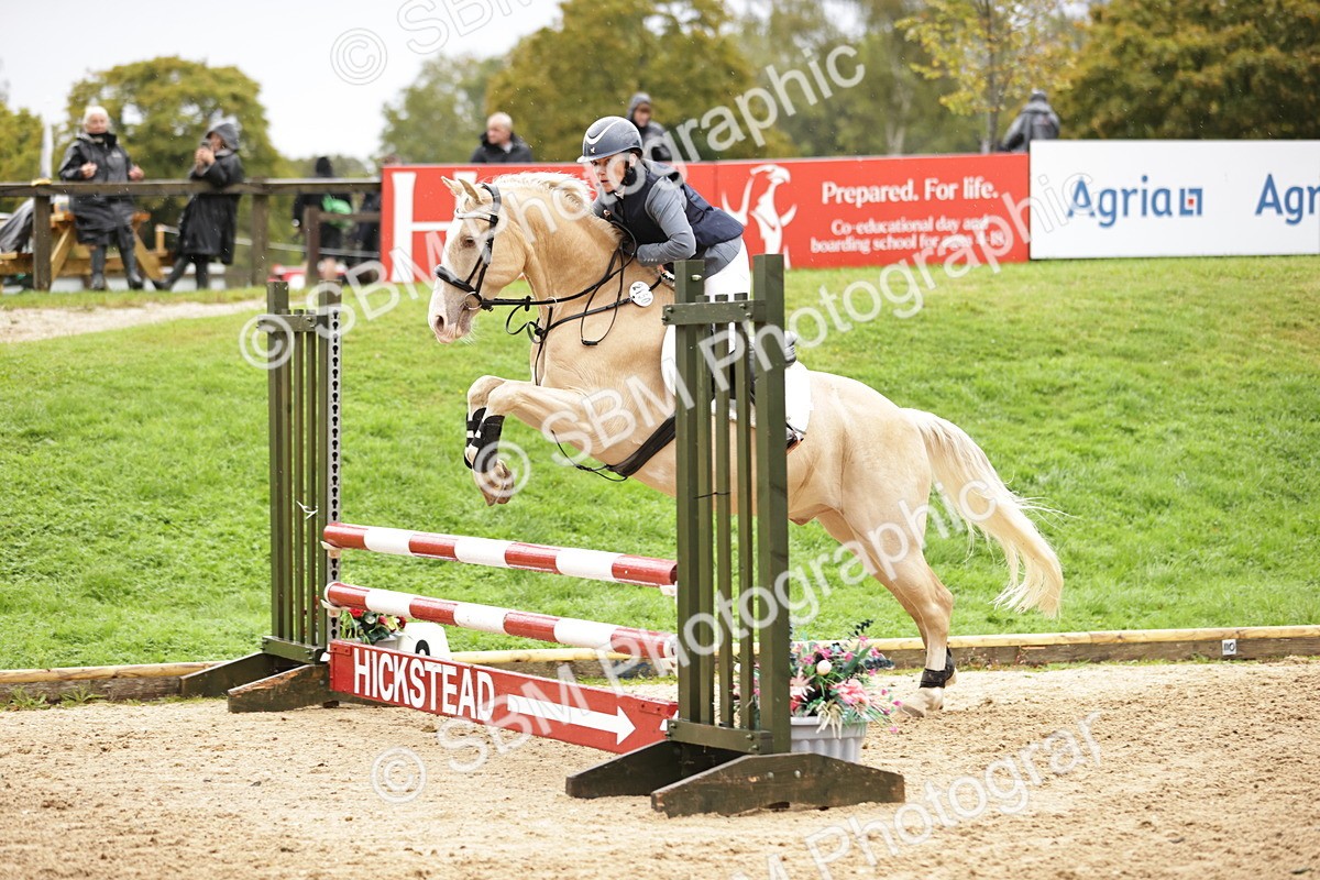 SBM_35769 - J38 - Senior Horse & Pony 80cm Championship