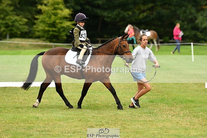 250820A-115202-05335 - 11am to 12