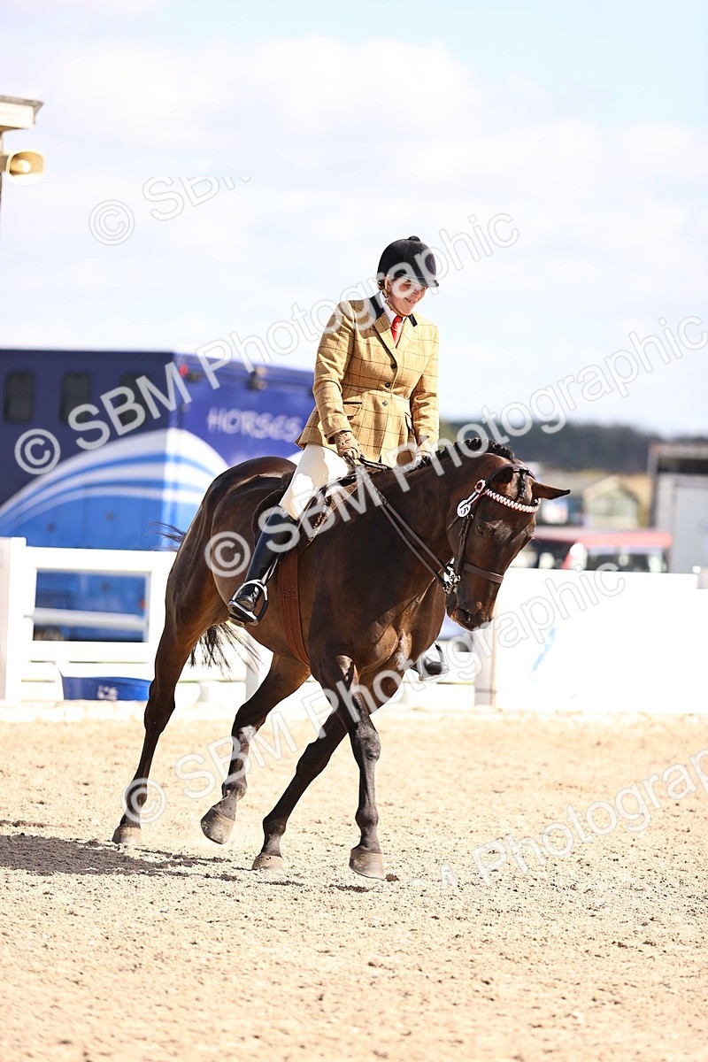 SBM_12981 - Class 410 - Grassroots Ridden - Horse