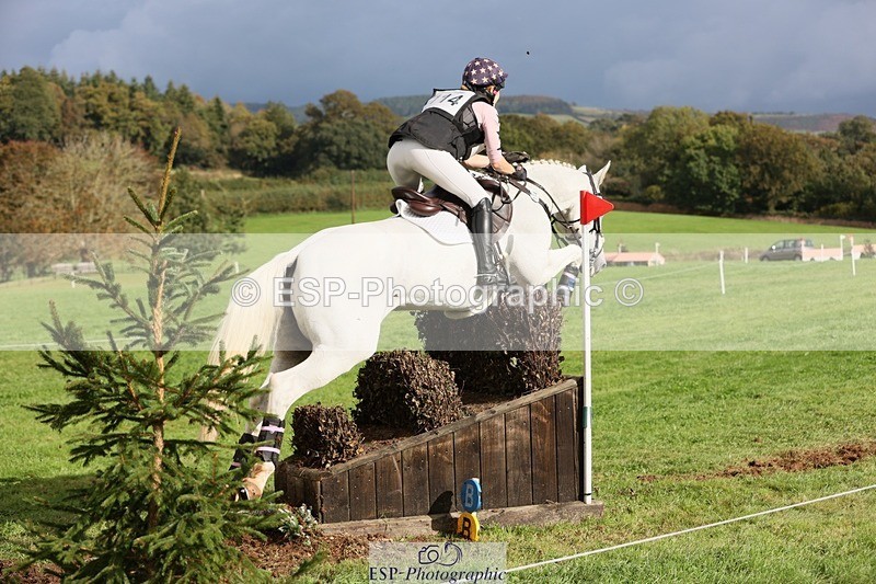 231020-140325-09261 - 114-LATINA'S.TWINKELING-Pippa.Haslam-XC