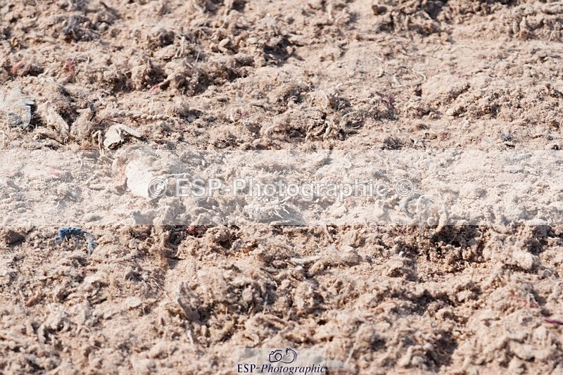 250503-094046-00112 - Cls 16 Clear Round 40cm and 50cm