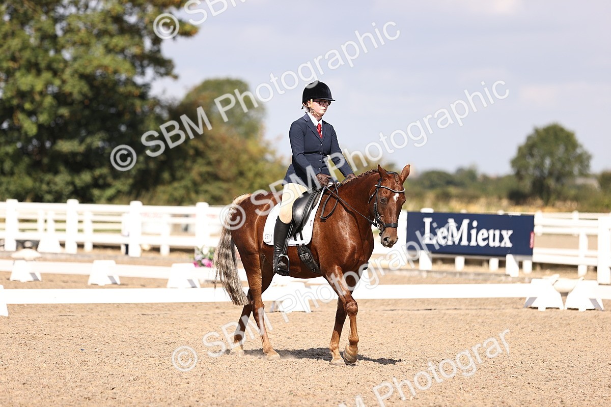 SBM_03580 - CLass 35 Intro 3