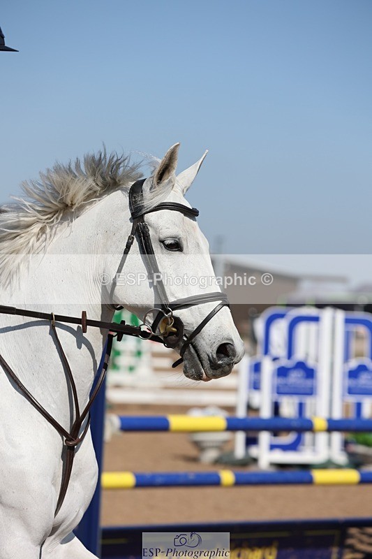 250402-120221-00469 - Cls 4 Newcomers and 1.10m Open