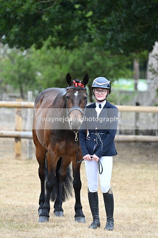 WJ7_0022 - Class 5a Most Handsome Gelding (above 14.2hh)