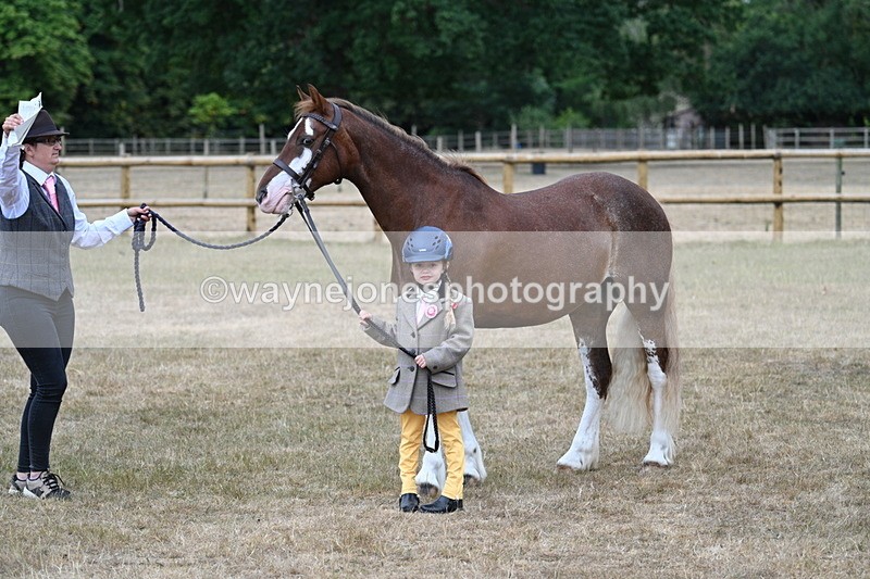 WJ7_9403 - Prettiest Mare Champs