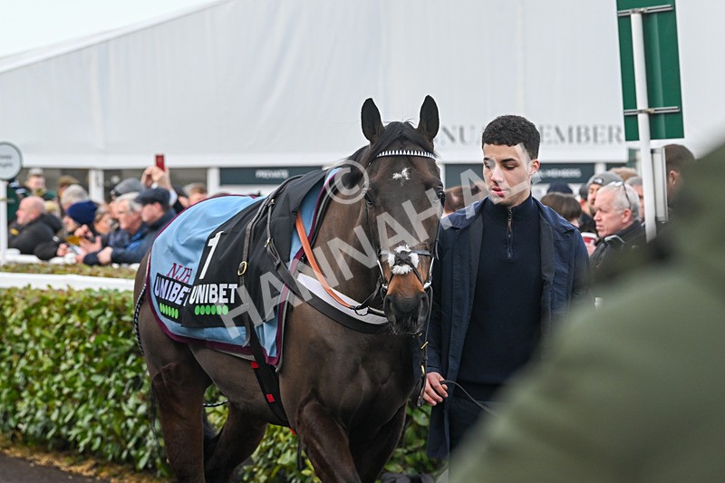 250125-Race 5-Constitution Hill-4546