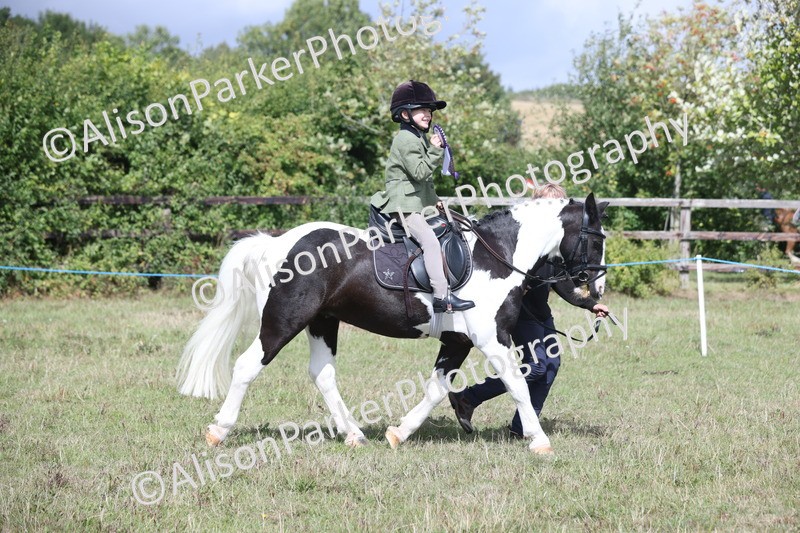 20250831-2786 - Class 17 - Lead Rein Pony