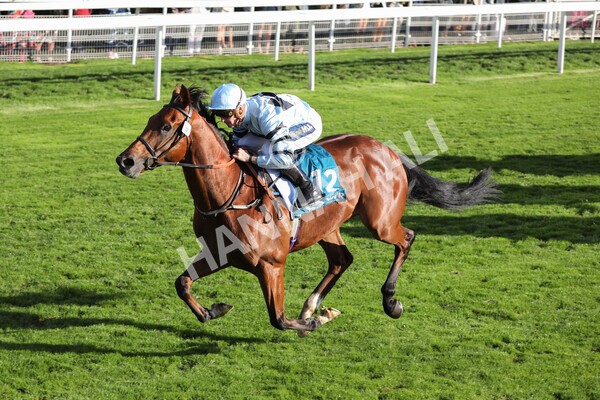 yr08102022r5-37 - Race 5 3.50pm The Coral Committed To Safer Gambling EBFStallions.com Maiden Stakes