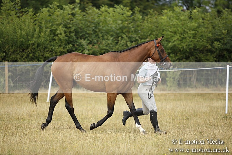 _C7A9548 - BVRC Sow 2018 Ring 2