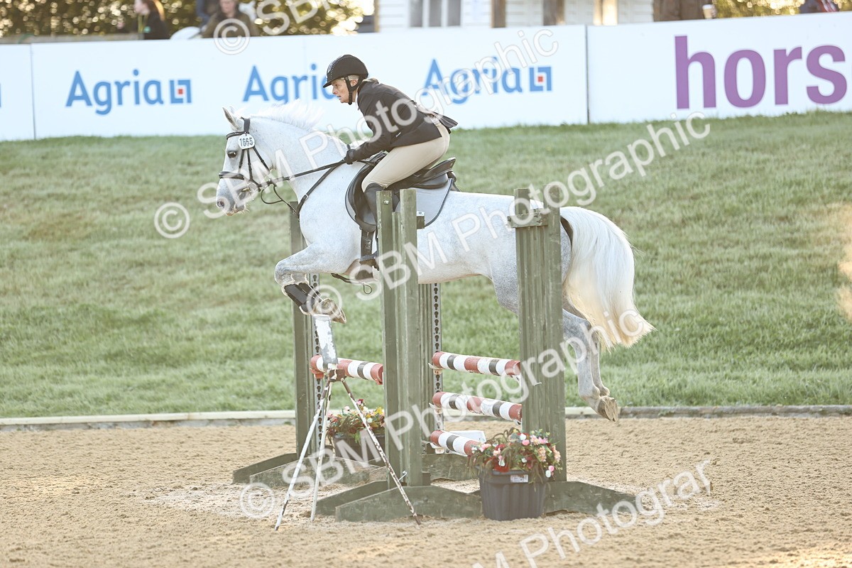 SBM_32925 - J38 - Senior 80cm Championship