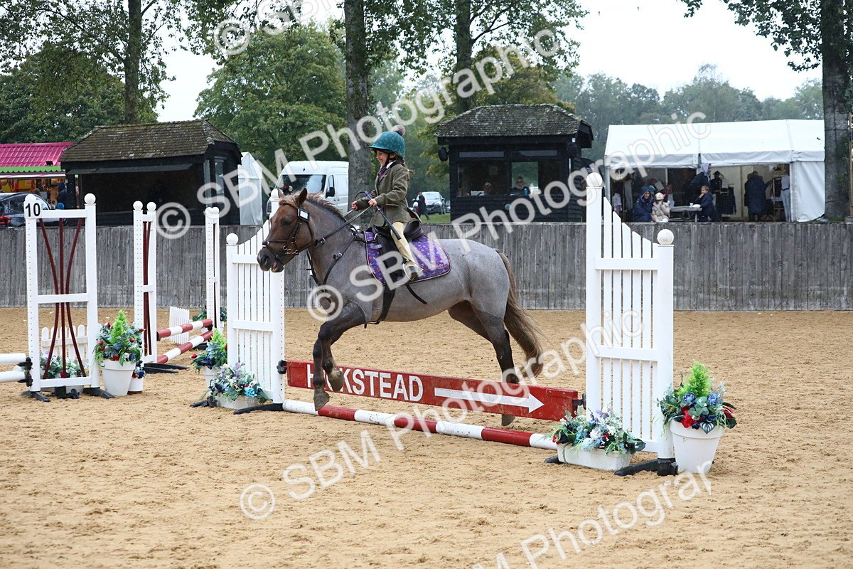 SBM_71494 - J4 - Mini Tour Junior Pony 45cm Championship
