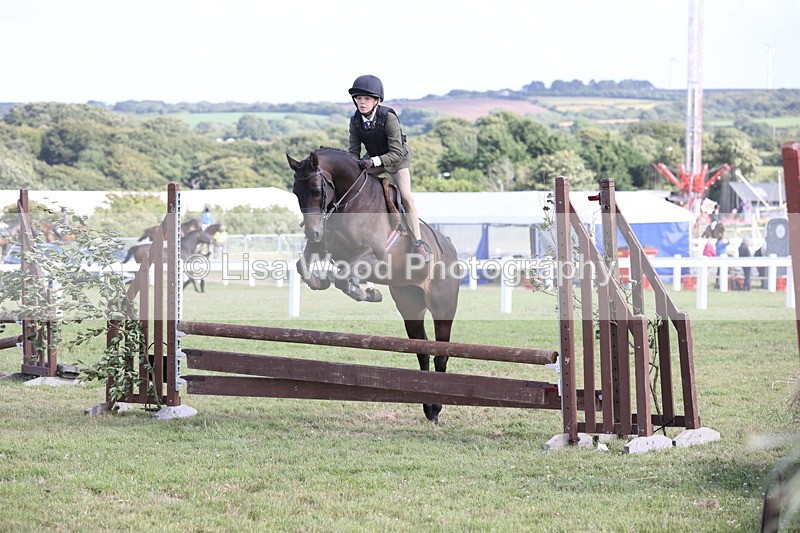 JPP_2787 - Class 20: Working Hunter 70cm