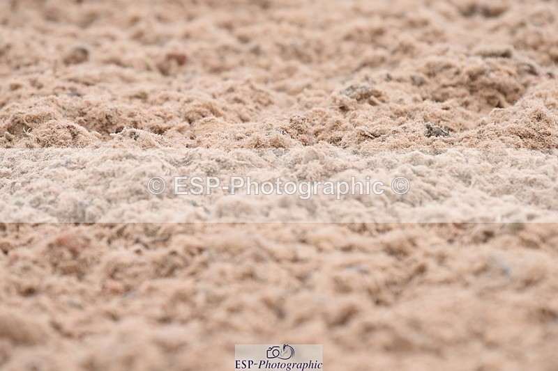 230702A-100642-07956 - Cls 25 Novice 23